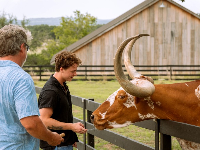 Safari Tents (United States of America, Stonewall, Texas)