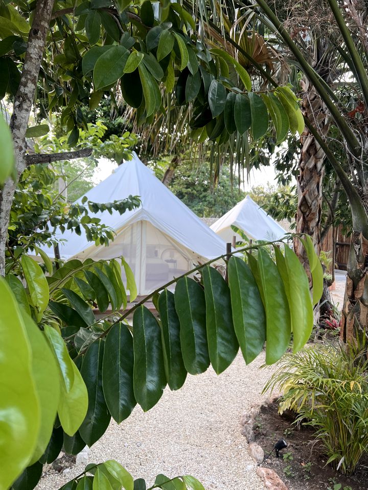 Lovely Bell Tents with Outdoor Pool in Mexico