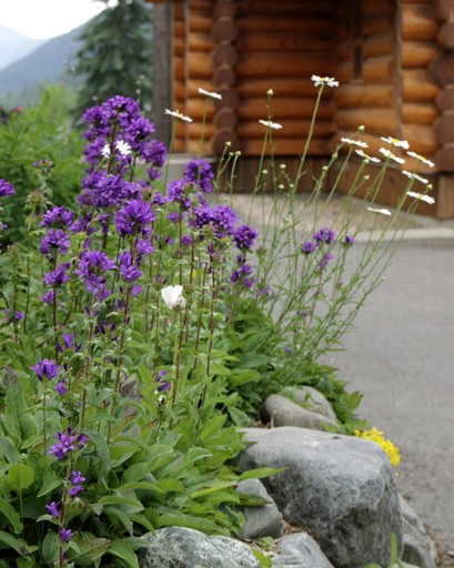 Cabins (Canada, Clearwater, British Columbia)