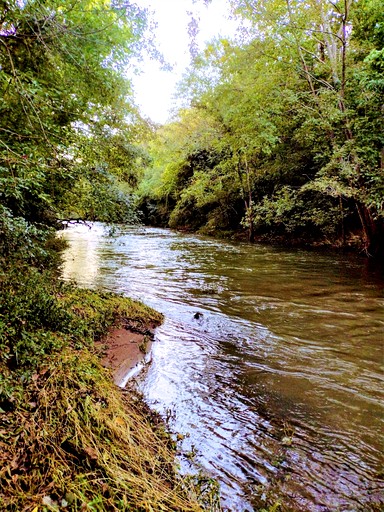 Yurts (United States of America, Lewisburg, Tennessee)