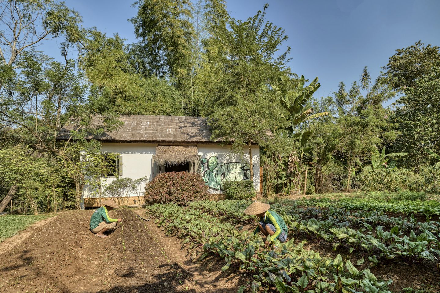 Elegant Room Rental Ideal for a Relaxing Getaway for Couples or Small Families in Laos