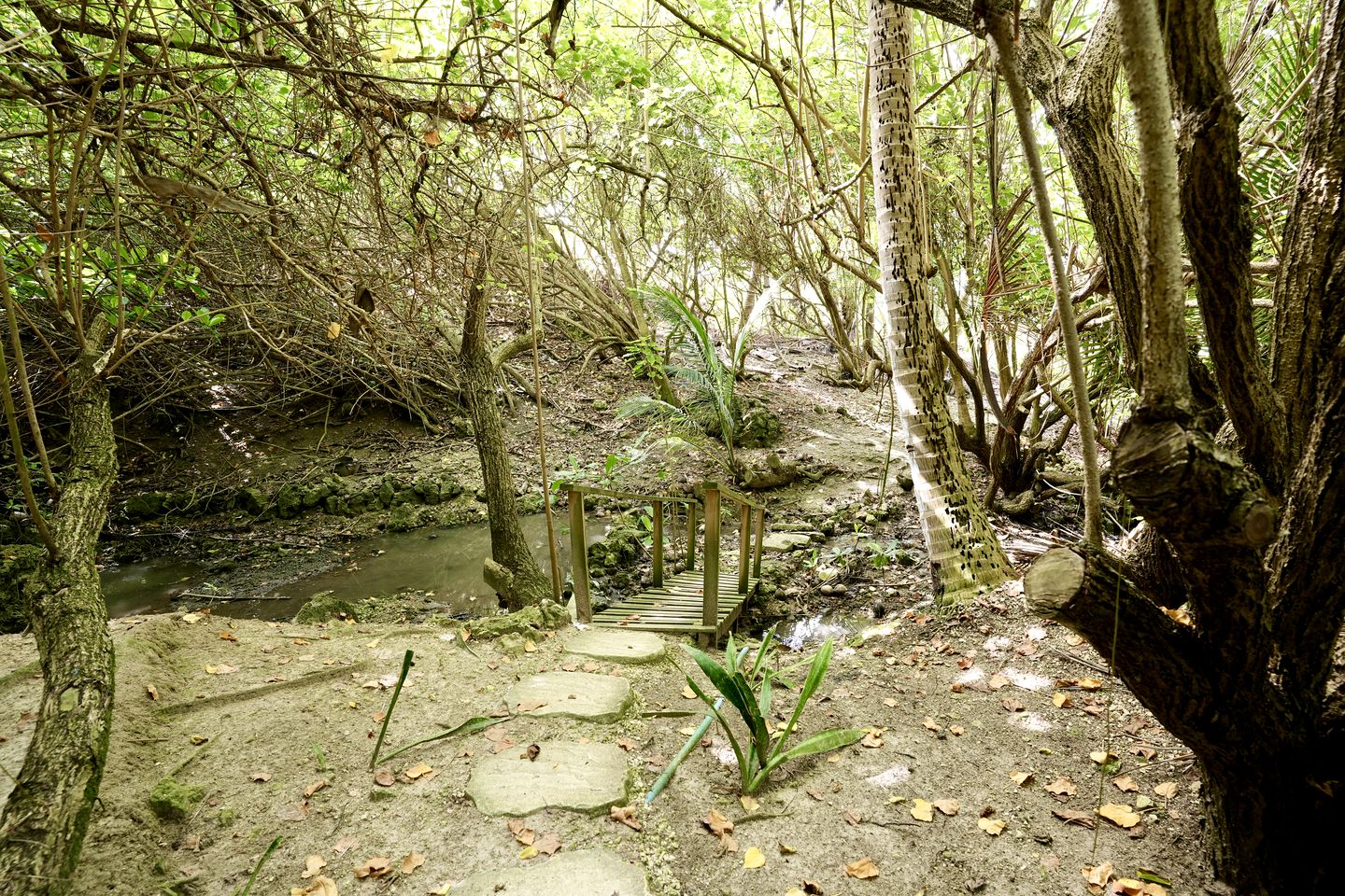 Romantic Vacation Rental with Breakfast and Private Patio in Barbados