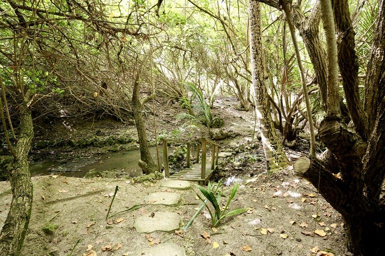 Vacation Rentals (Barbados, Bridgetown, St Joseph)