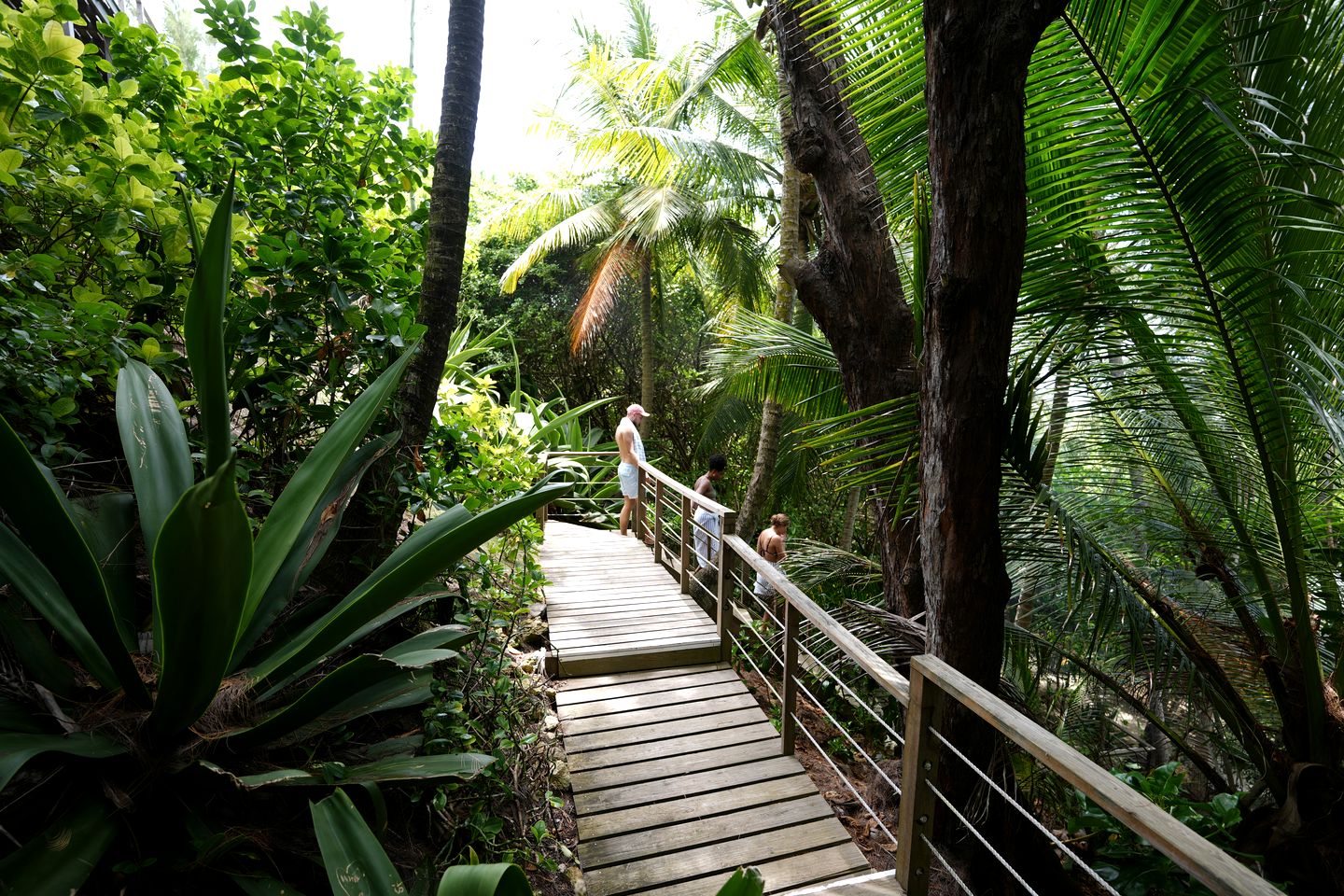 Luxurious Vacation Rental with Breakfast in Barbados