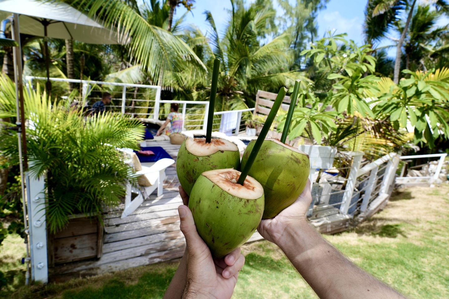 Heavenly Vacation Suite with Breakfast, Ocean Views and Patio in Barbados