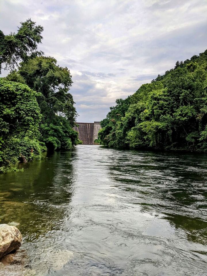 Beautiful Glamping Wagon Great for Outdoor Adventures in Tennessee