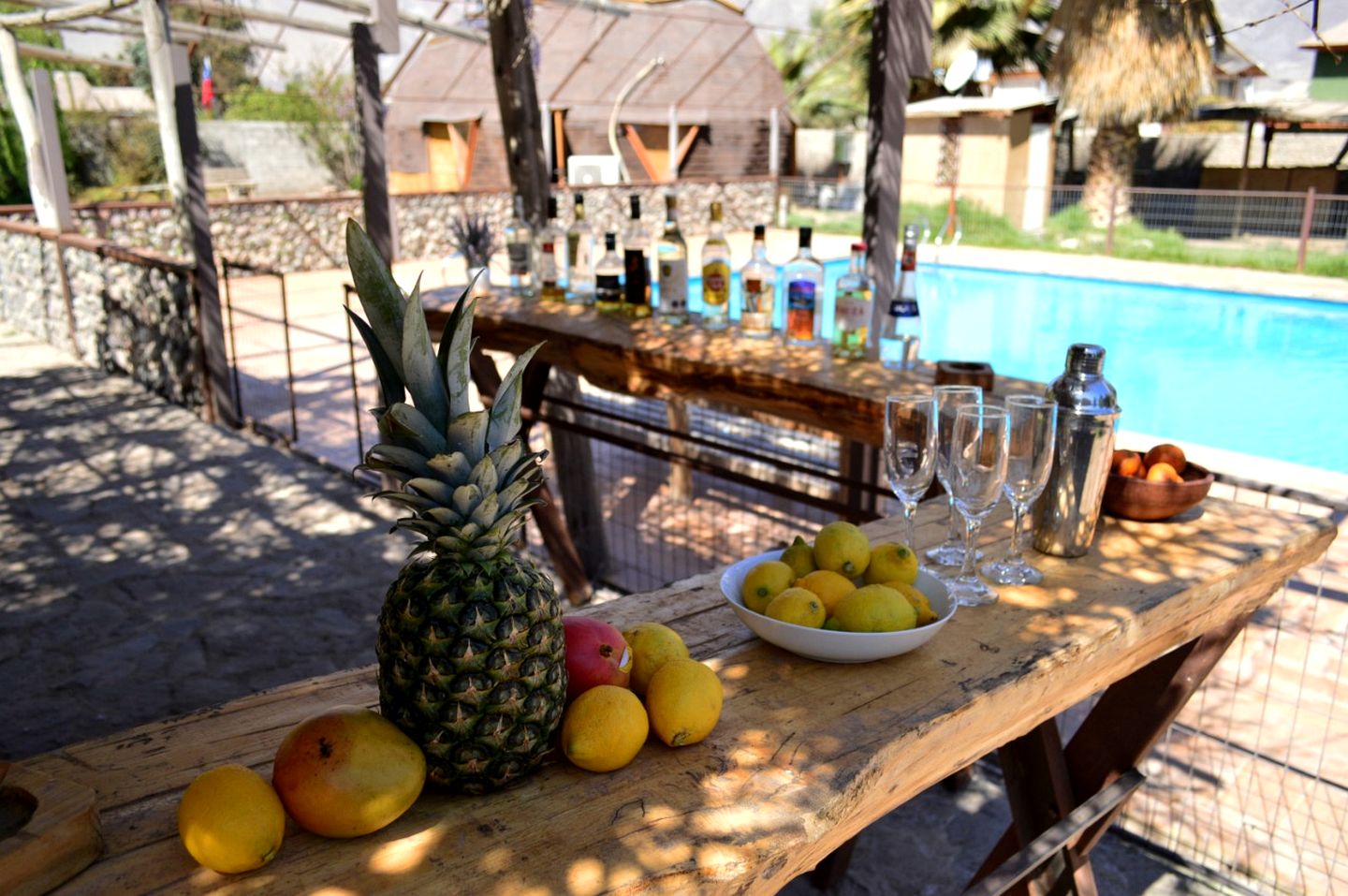 Great Glamping Tents with Outdoor Pool Surrounded by Nature in Chile
