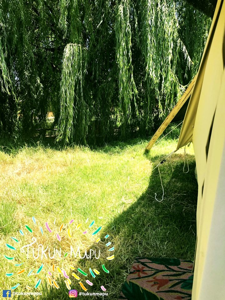 Great Glamping Tents with Outdoor Pool Surrounded by Nature in Chile