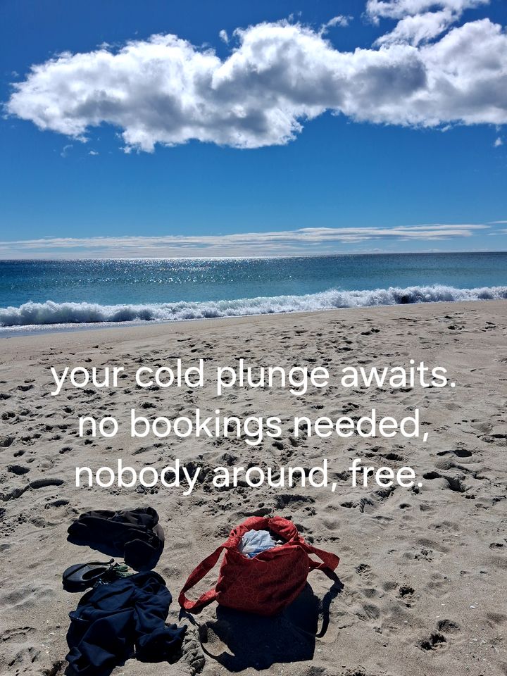 Tiny House Close to Lagoons with Outdoor Bath in Falmouth on the Coast of Tasmania, Australia