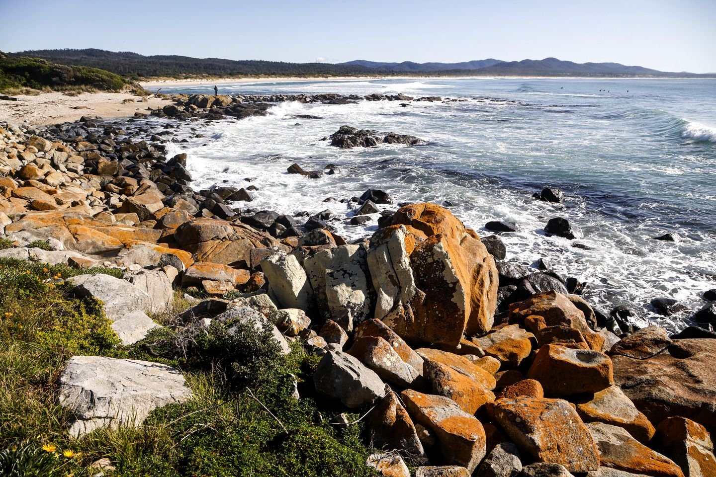 Tiny House Close to Lagoons with Outdoor Bath in Falmouth on the Coast of Tasmania, Australia