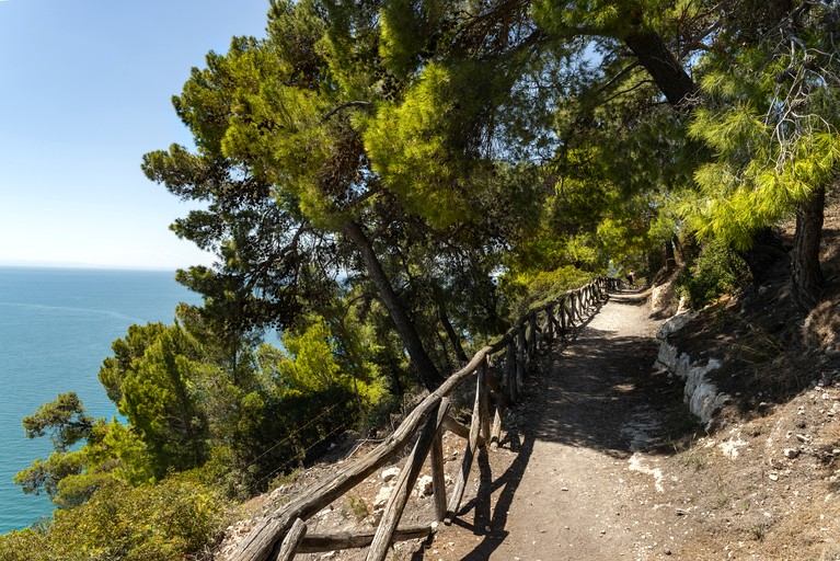 Safari Tents (Italy, --, --)