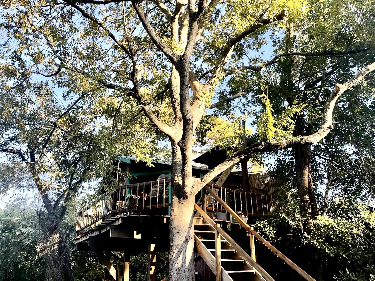 Unique Bamboo Tree House for an Unforgettable Couples Getaway by Lake Conroe, Texas