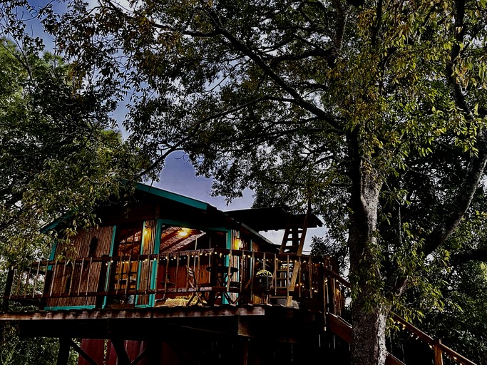 Unique Bamboo Tree House for an Unforgettable Couples Getaway by Lake Conroe, Texas