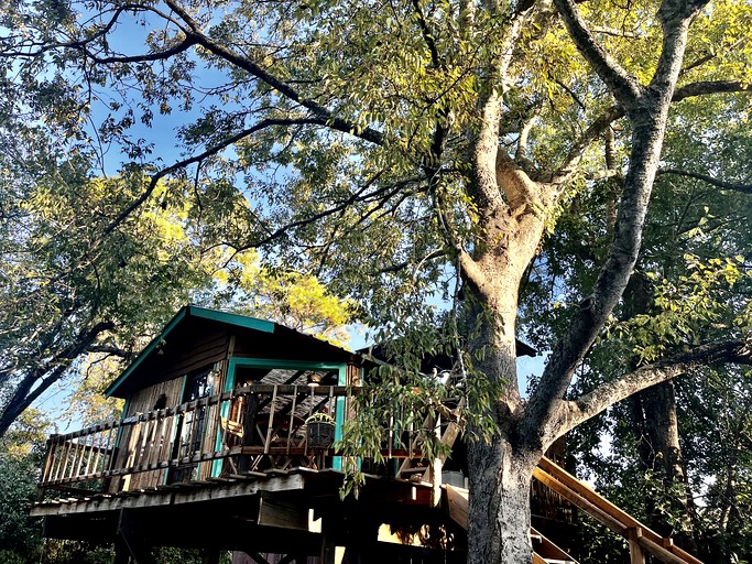 Tree Houses (United States of America, Willis, Texas)