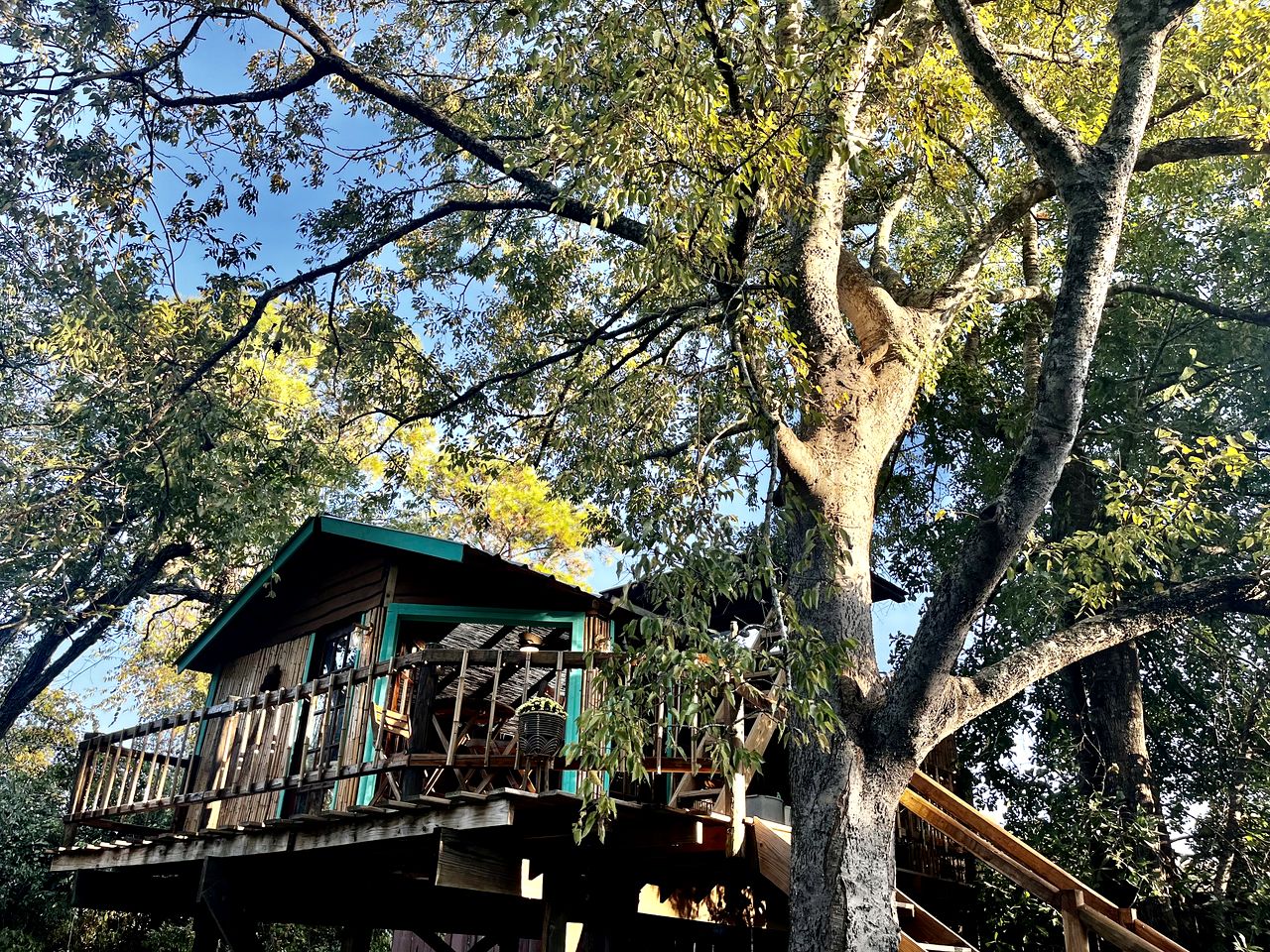 Unique Bamboo Tree House for an Unforgettable Couples Getaway by Lake Conroe, Texas
