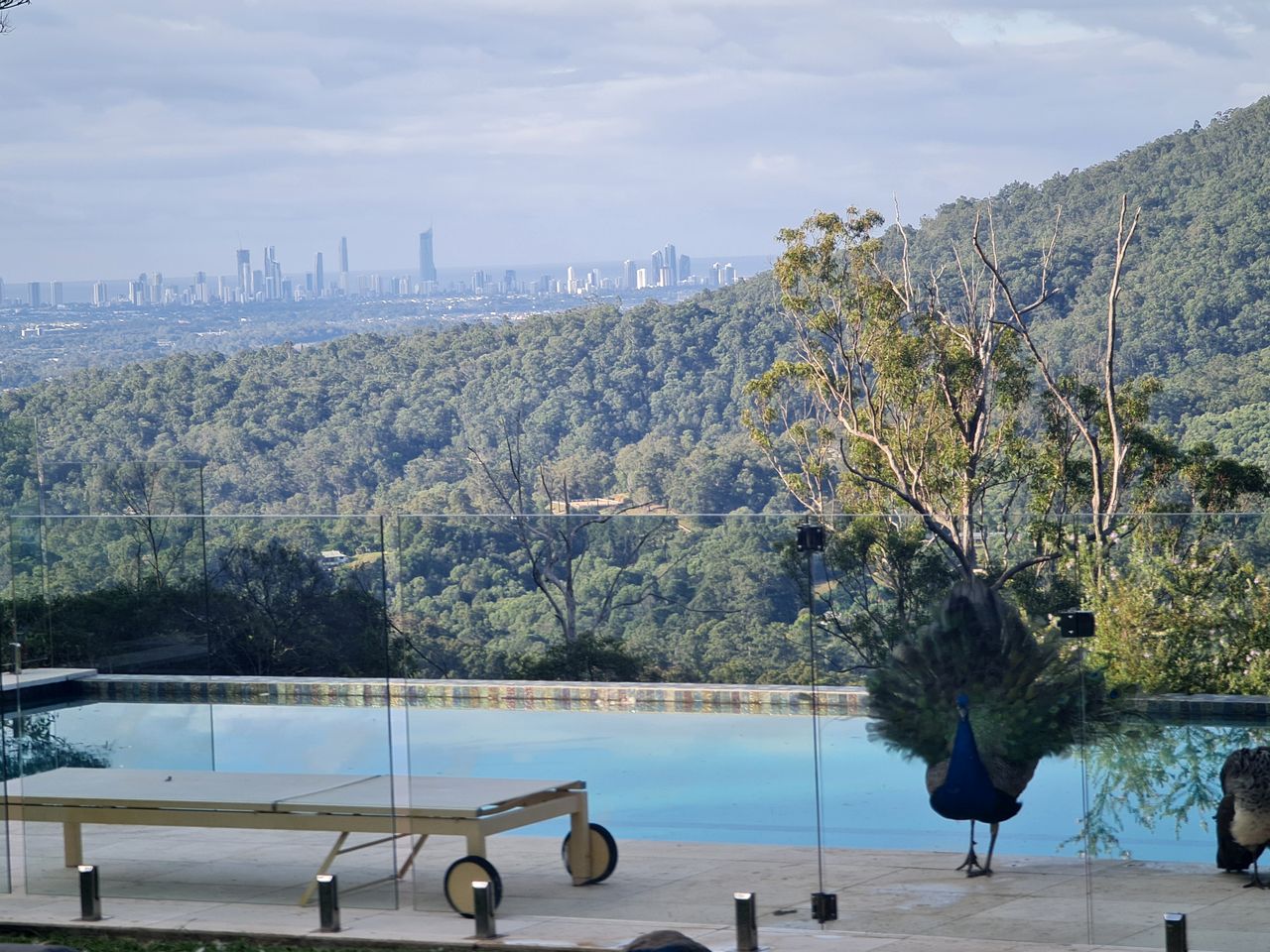 Off-Grid Equipped Container with Outdoor Pool and Amazing Views in Queensland