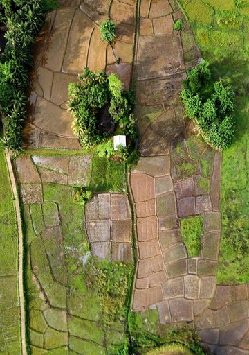 Villas (Sri Lanka, --, --)