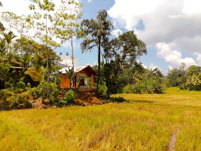 Off-Grid Cabin with Breathtaking Rainforest Views and Wildlife in Sri Lanka