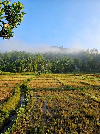 Villas (Sri Lanka, --, --)
