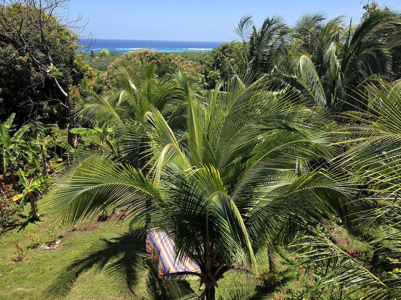 Serene Island Cabins Retreat Perfect for a Peaceful Getaway in Nicaragua
