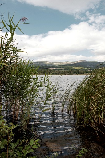 Cottages (Russia, --, --)