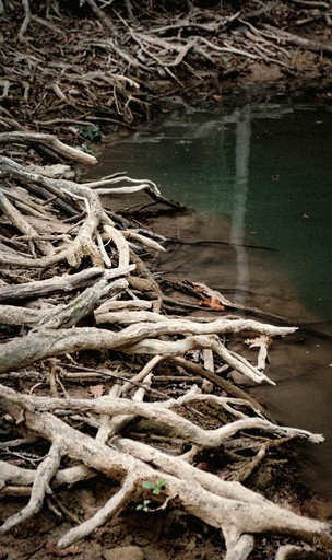 Cottages (Russia, --, --)