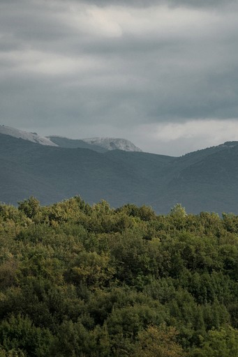 Cottages (Russia, --, --)