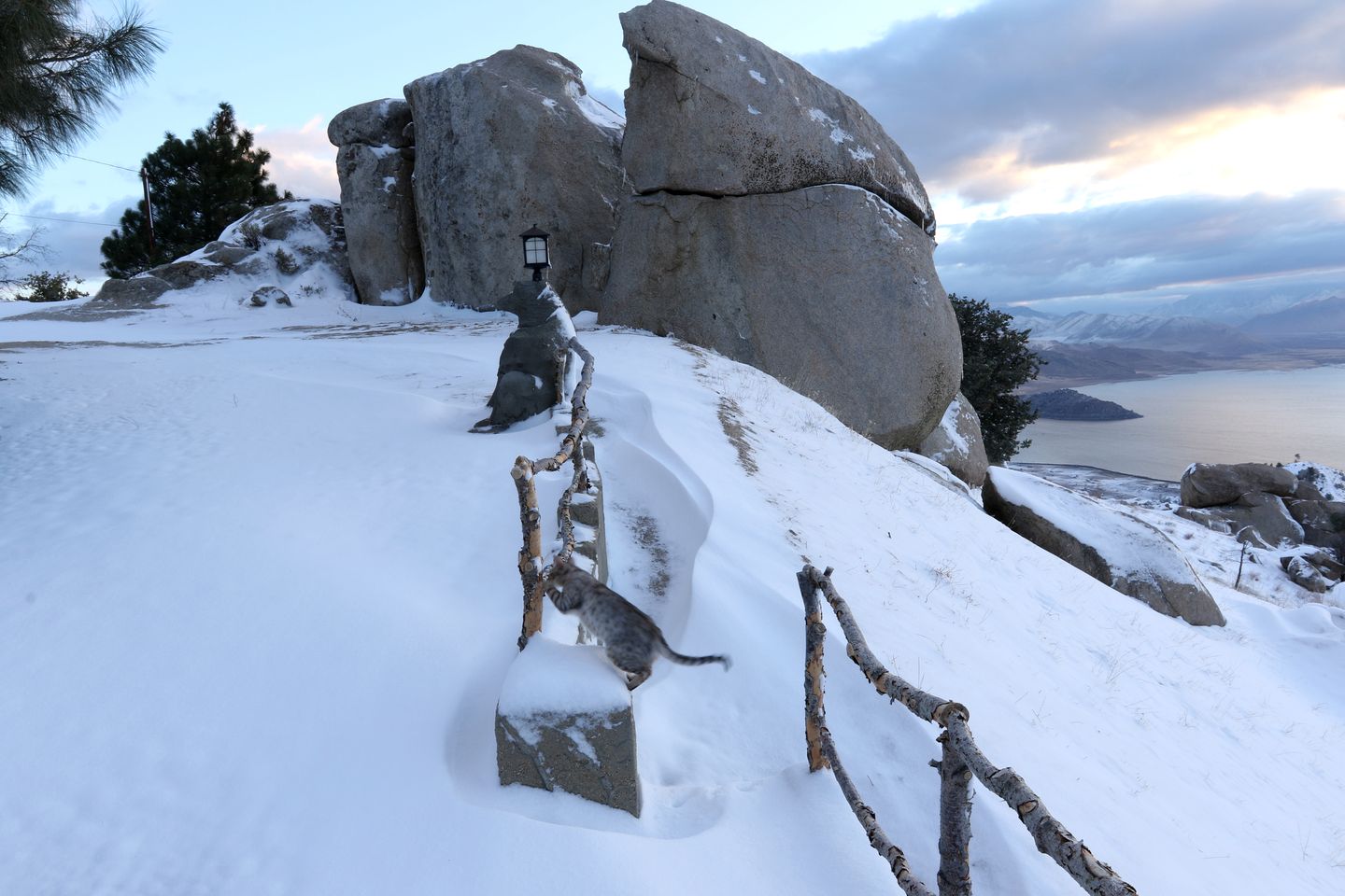 Mountain Cabin with Stunning Views, BBQ and Deck in California