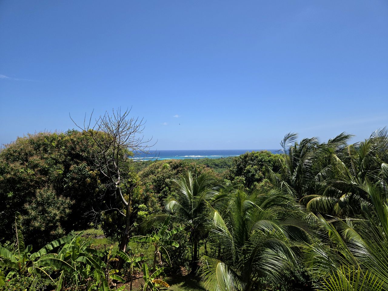 Cabins (Nicaragua, Little Corn Island, South Caribbean Coast Autonomous Region)