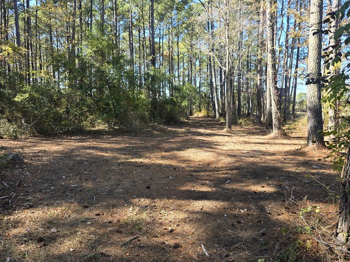 Vacation Rentals (United States of America, --, Virginia)