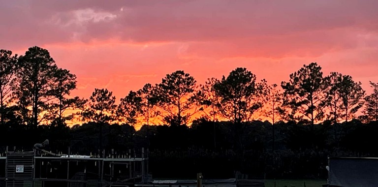 Vacation Rentals (United States of America, --, Virginia)