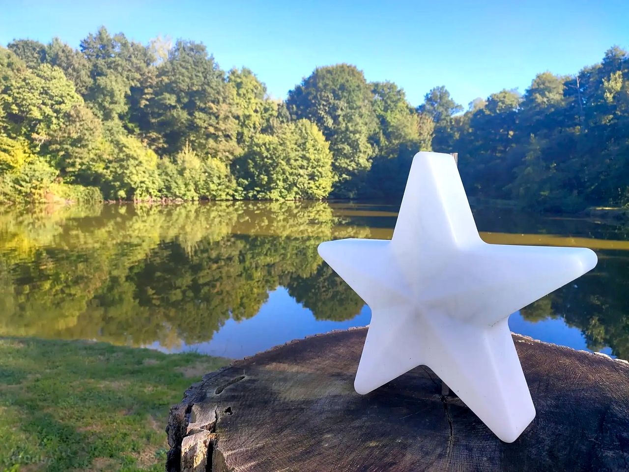 Cozy Forest Bell Tents Camp Surrounded by Nature in France