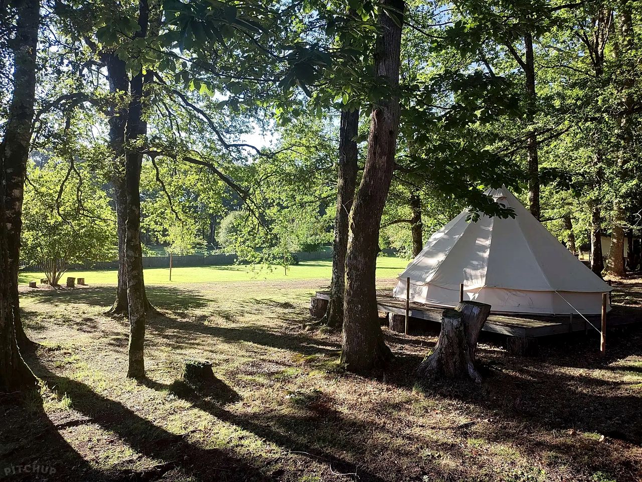 Cozy Forest Bell Tents Camp Surrounded by Nature in France