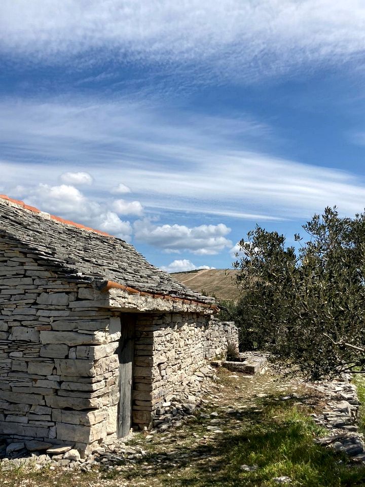 Luxurious Family-Friendly Safari Tent Surrounded by Breathtaking Nature in Croatia