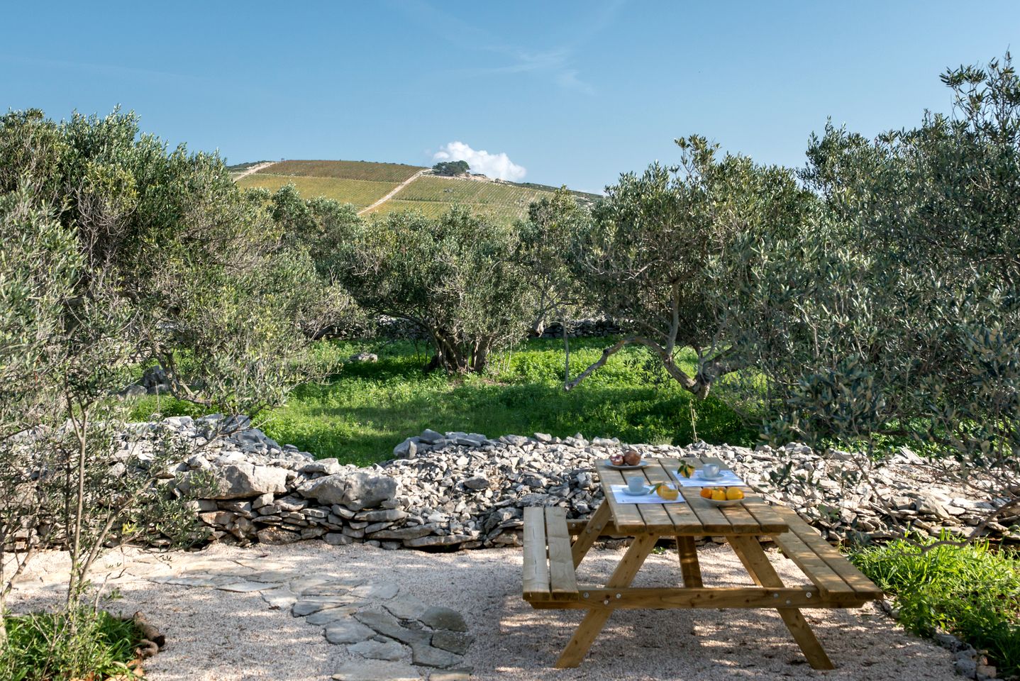Luxurious Family-Friendly Safari Tent Surrounded by Breathtaking Nature in Croatia