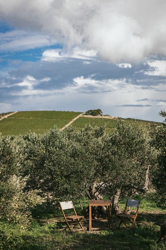 Safari Tents (Croatia, Šolta, Split-Dalmatia)