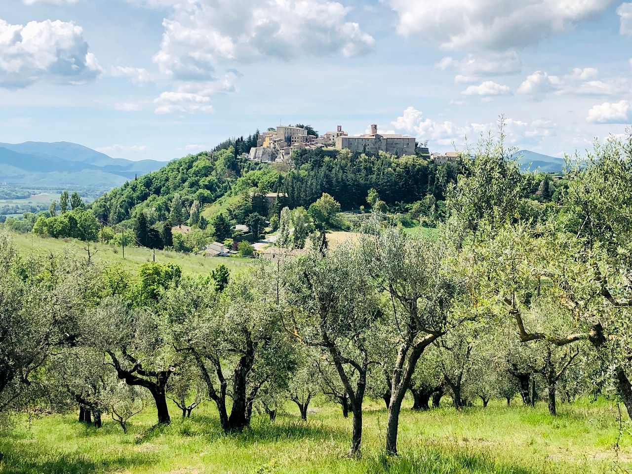 Off-Grid Cozy Bell Tents with Beautiful Views and Surroundings in Italy