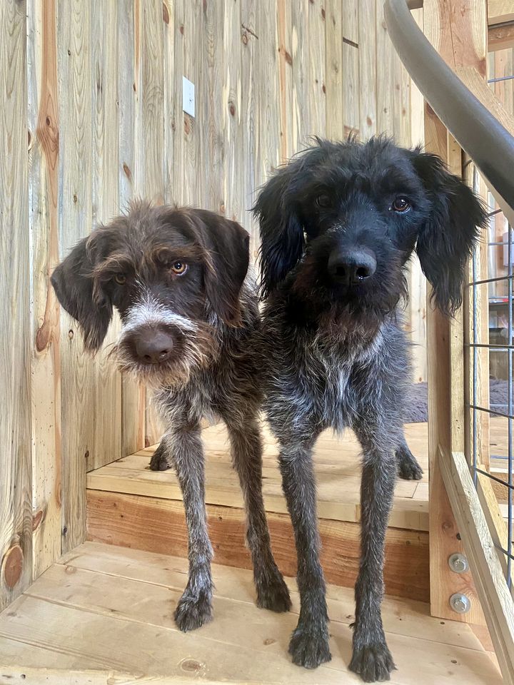Unique Pet-Friendly Towers Retreat Fully Equipped in Colorado