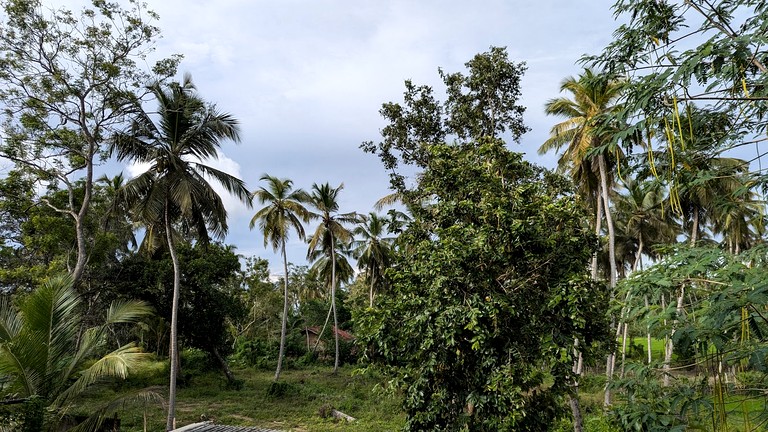 A-Frames (Sri Lanka, --, --)