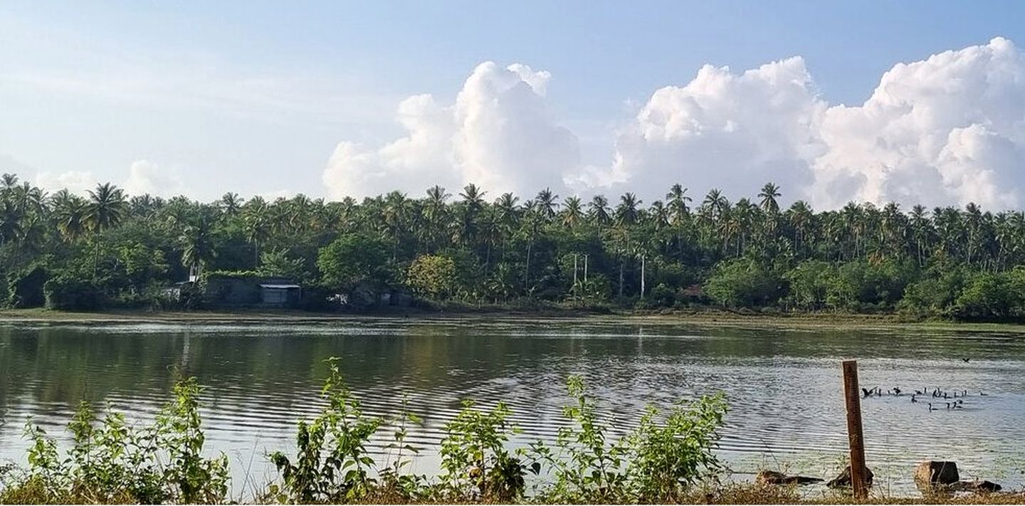 Breathtaking A-Frame Retreat Surrounded by Greenery with Amazing Views in Sri Lanka