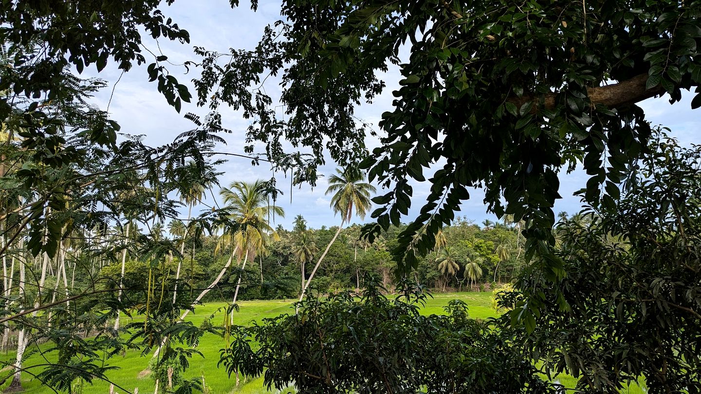 Breathtaking A-Frame Retreat Surrounded by Greenery with Amazing Views in Sri Lanka