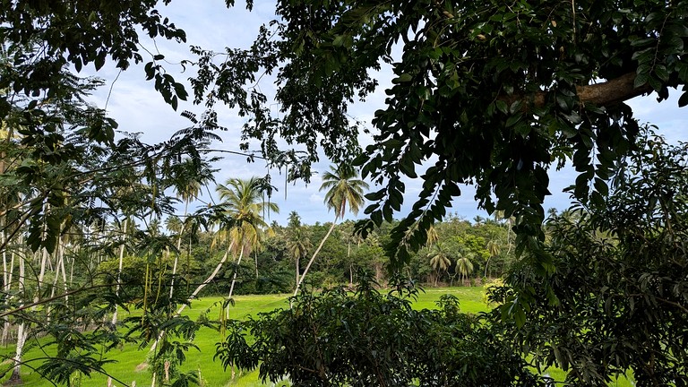 A-Frames (Sri Lanka, --, --)