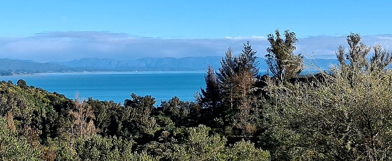 Containers (New Zealand, --, Tasman)