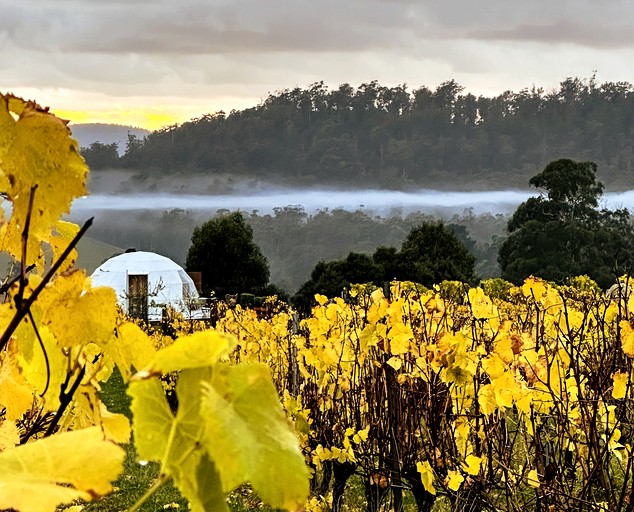 Domes (Australia, Tamar Valley, Tasmania)