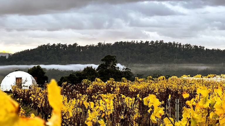 Domes (Australia, Tamar Valley, Tasmania)