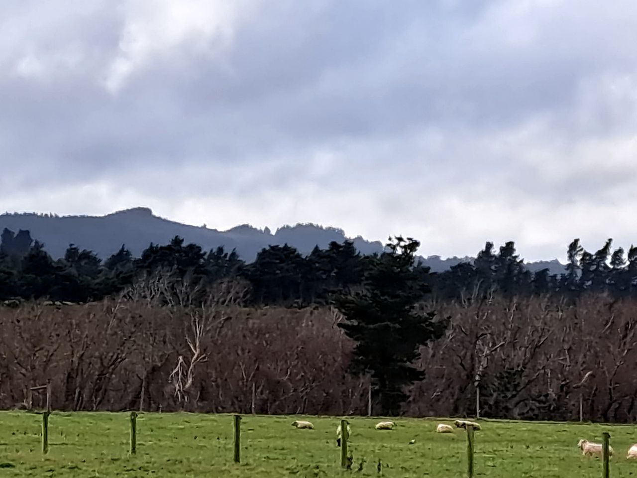 Newly Refurbished Bijou Cottage with Beautiful Views near Methven, New Zealand