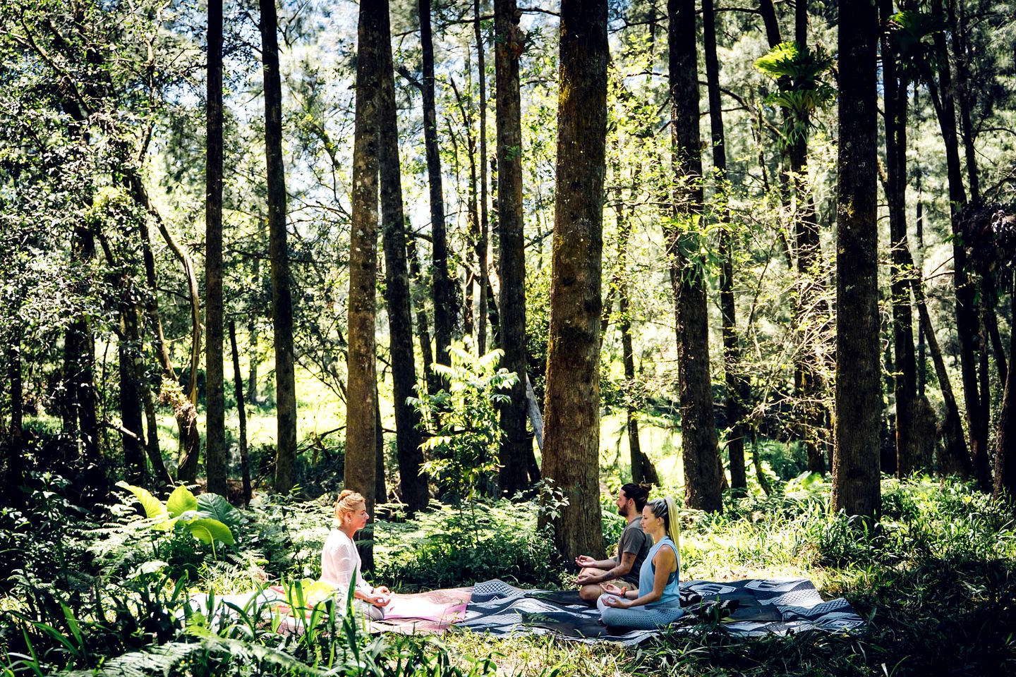 Beautiful Secluded Cottage in Bellbrook, New South Wales