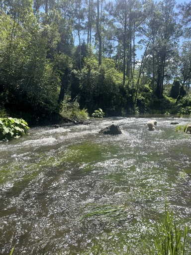 Vacation Rentals (Australia, Bellbrook, New South Wales)