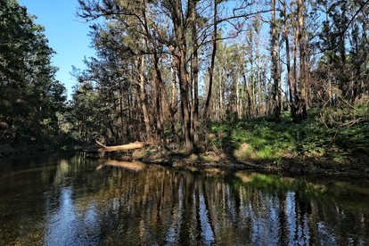 Beautiful Secluded Cottage in Bellbrook, New South Wales photo 4