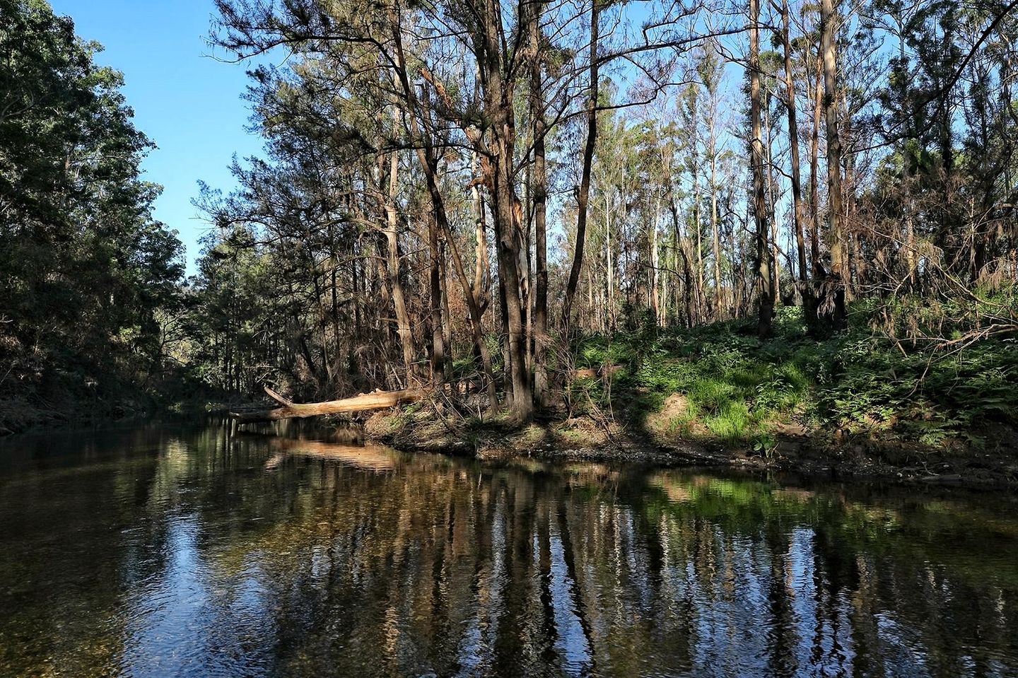 Beautiful Secluded Cottage in Bellbrook, New South Wales